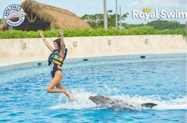 Punta Cana: Swim or Interact with Dolphins in the Sea — Guided tour and outdoor activity
