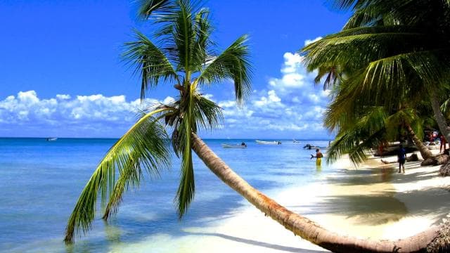 From Bayahibe: Saona Island, Open Bar, Speedboat & Lunch — Guided tour and outdoor activity
