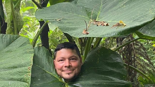 Monteverde: Cloud Forest Tour with Guide & Photos — Guided tour and outdoor activity