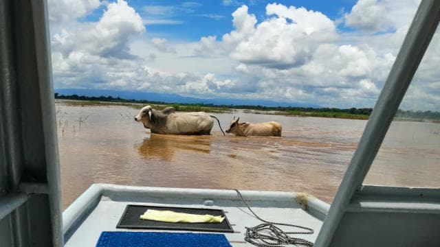 Caño Negro: Wildtier-Entdeckungstour — Guided tour and outdoor activity