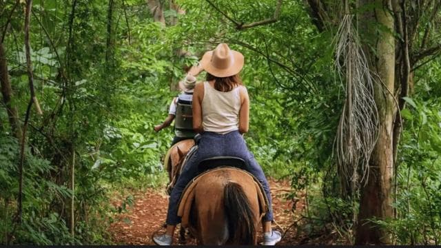 Punta Cana: Samaná Day Trip with El Limón Waterfall — Guided tour and outdoor activity