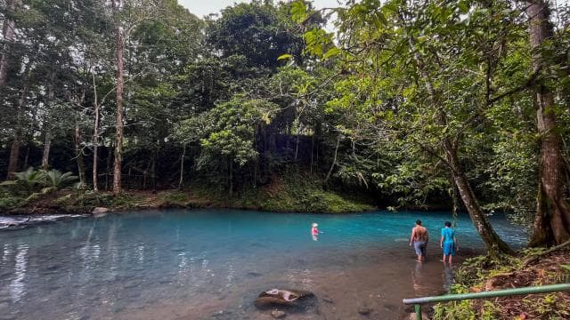 Rio Celeste: Natural Pool in the forest — Guided tour and outdoor activity