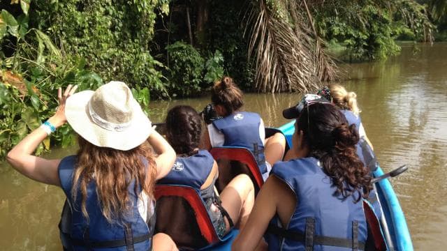 Tortuguero: Canoe Tour and Wildlife Spotting — Guided tour and outdoor activity