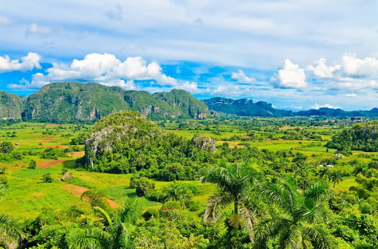 Hiking in Valle de Palmarito — Guided tour and outdoor activity