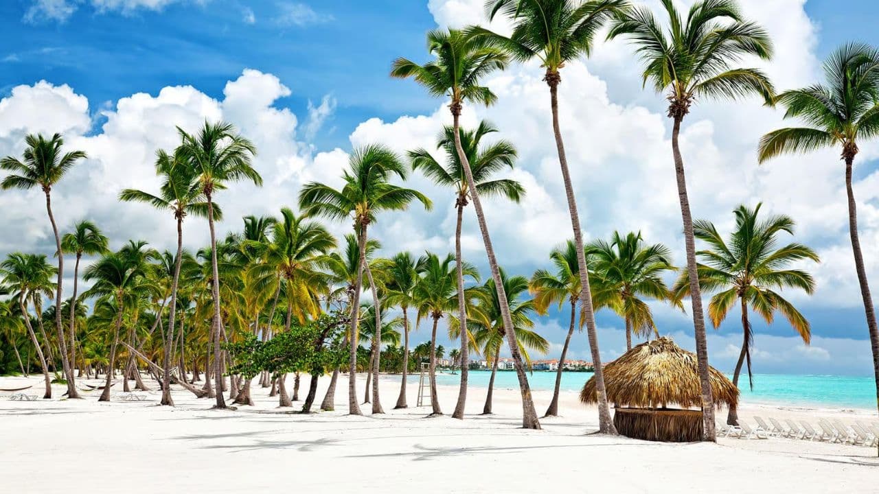 Punta Cana: Saona Island Full-Day Small Groups Tour — Guided tour and outdoor activity