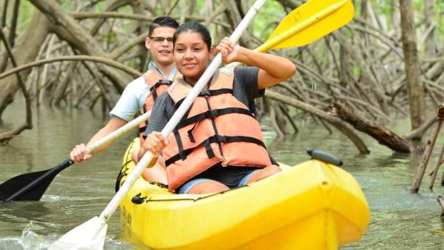 Quepos: Mangrove Kayaking Tour — Guided tour and outdoor activity