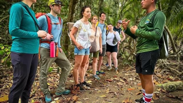 Corcovado National Park, San Pedrillo Station, 1-day hike — Guided tour and outdoor activity