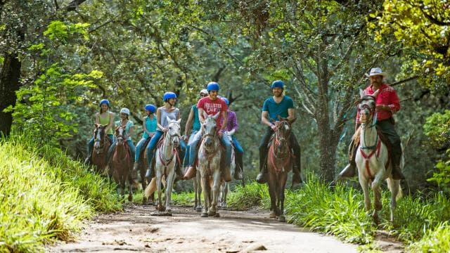 Horseback Riding Tour to the Oropéndola Waterfall — Guided tour and outdoor activity