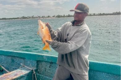 Sailing tour to Catalina Island from La Romana — Guided tour and outdoor activity