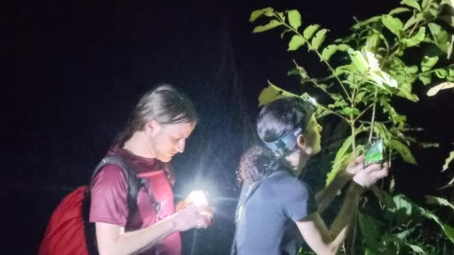 Jungle Pack x 3 Tour in the National Park — Guided tour and outdoor activity
