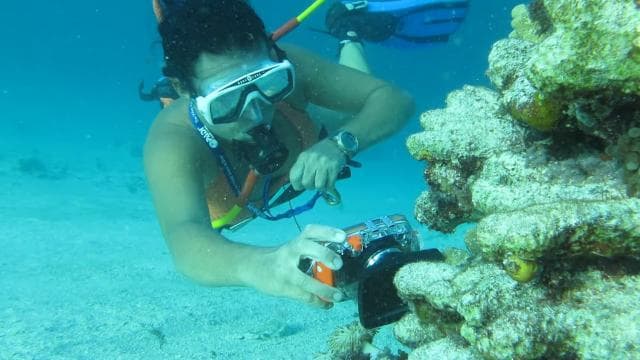 Punta Cana: Guided Power Dive Adventure — Guided tour and outdoor activity