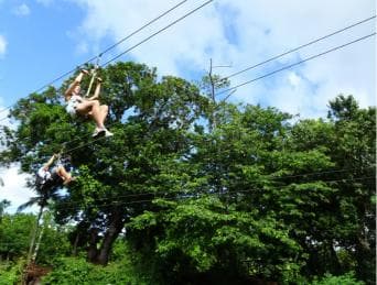 Puerto Plata: Zip Line Adventure — Guided tour and outdoor activity