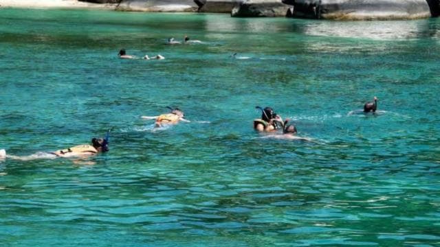 La Romana: Catalina Island Day Trip with Lunch & Drinks — Guided tour and outdoor activity