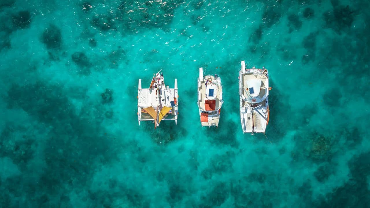 Punta Cana: Catamaran Tour with Food and Drinks — Guided tour and outdoor activity