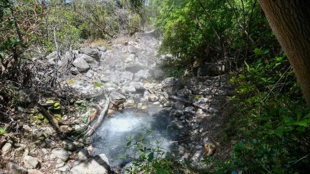 Rincón de la Vieja: Las Pailas trail + Oropendola — Guided tour and outdoor activity