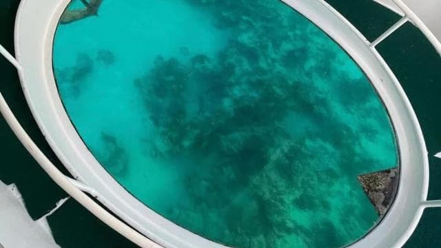 Punta Cana Scuba Doo: Discover Marine Life In a Fun Way — Guided tour and outdoor activity