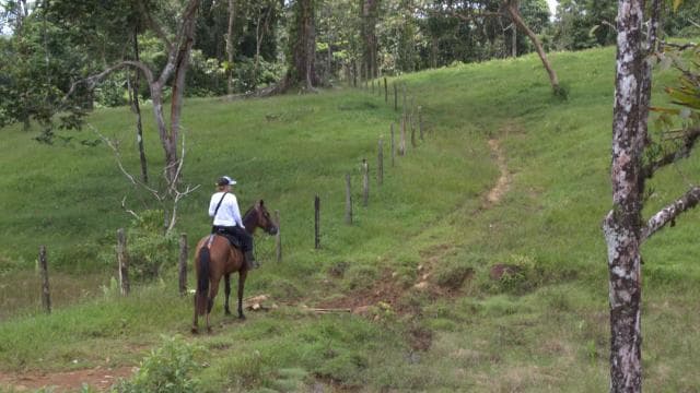 Private Horseback Riding - Río Celeste — Guided tour and outdoor activity