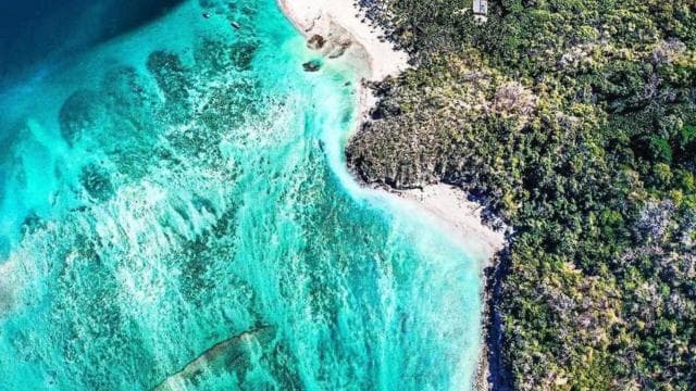 From Playa Pochote: Tortuga Island Private Tour — Guided tour and outdoor activity