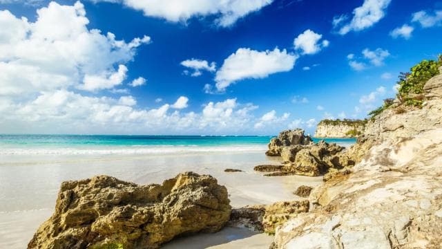 Punta Cana: Buggy Tour Adrenaline Rush Off-Road Adventure — Guided tour and outdoor activity