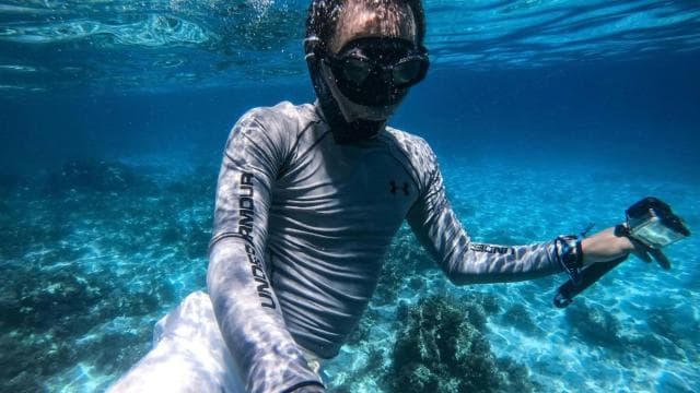 Dive into Paradise: Manzanillo's Dolphin, Snorkel and Lunch — Guided tour and outdoor activity