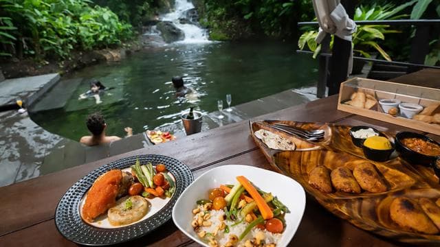 Spa or Jaguar Luxury Rainforest Experiences with Lunch — Guided tour and outdoor activity