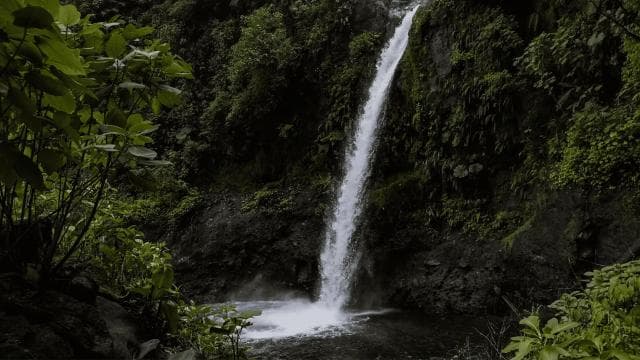 Poas Coffee tour, La Paz Waterfall and Poas Volcano — Guided tour and outdoor activity