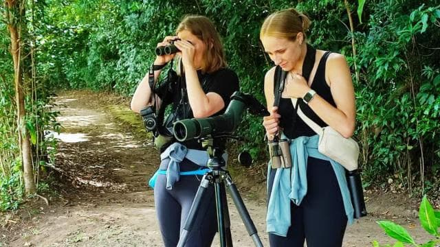 Monteverde Hanging Bridges and Night Walk Tour — Guided tour and outdoor activity