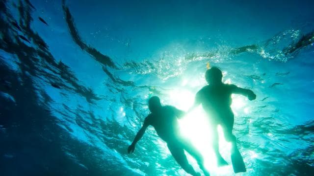 Punta Cana: Catalina Island Snorkeling Tour with Lunch — Guided tour and outdoor activity