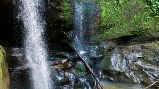 Puerto Viejo or Cahuita: Bribri Hidden Waterfalls Excursion with Lunch — Guided tour and outdoor activity