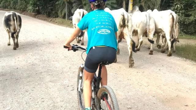 Jungle Mountain Bike Tour & Waterfall Swim — Guided tour and outdoor activity