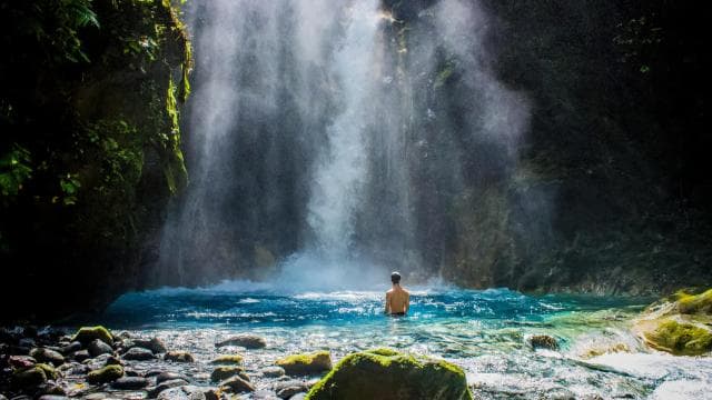 Spa or Jaguar Luxury Rainforest Experiences with Lunch — Guided tour and outdoor activity