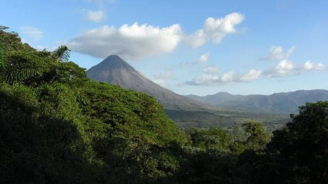Bosque Arenal: tour de fotografía y observación de aves — Guided tour and outdoor activity