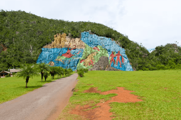 Viñales Valley Classic Car Tour — Guided tour and outdoor activity