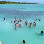 Saona Island Tour from Santo Domingo — Guided tour and outdoor activity
