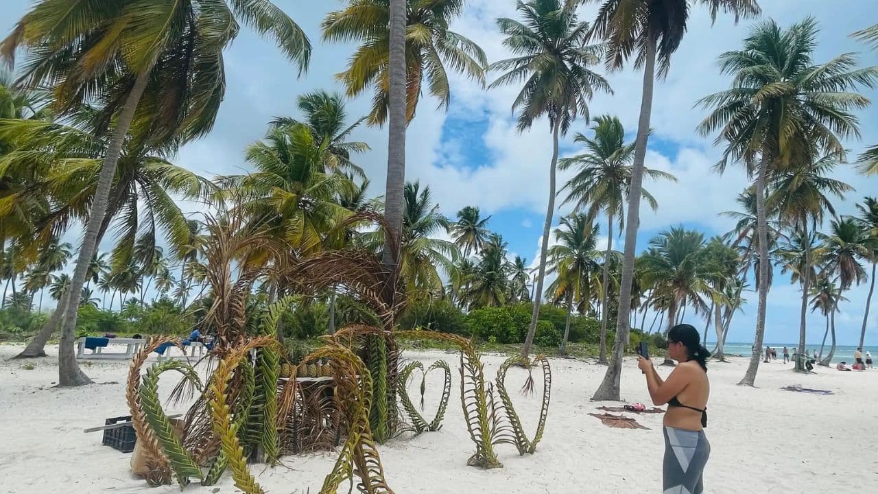 Full-Day Cruise of Isla Saona from Santo Domingo with Lunch — Guided tour and outdoor activity