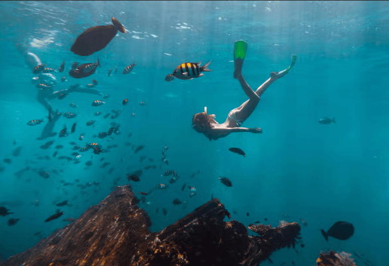 Snorkelling in Havana — Guided tour and outdoor activity