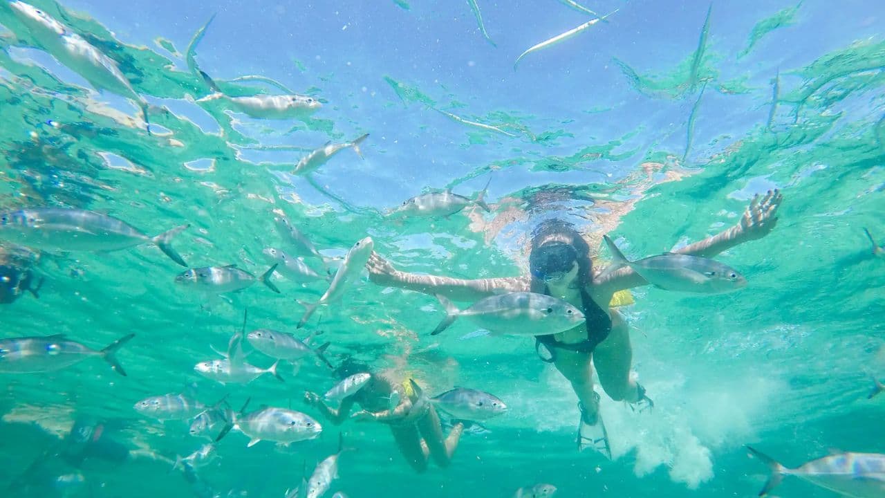 Punta Cana: avventura in motoscafo e snorkeling con... — Guided tour and outdoor activity