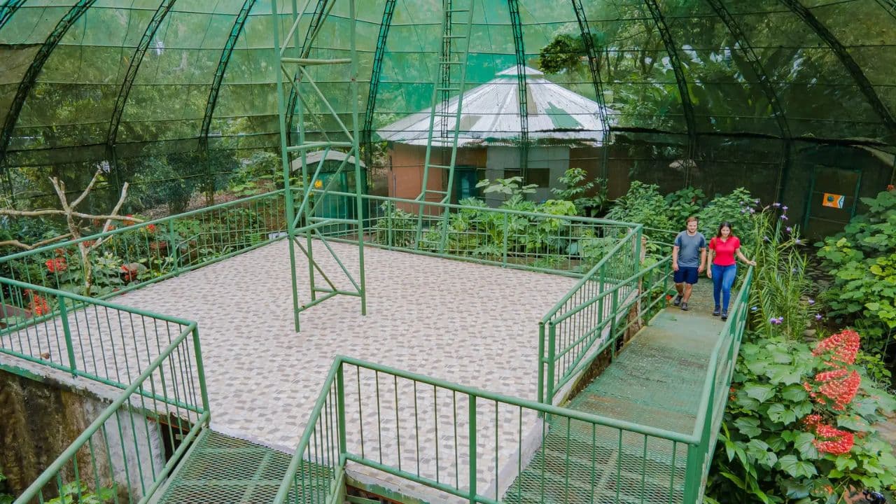 Jungle Eco Tour — Guided tour and outdoor activity