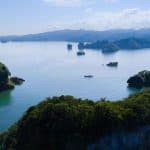 Los Haitises National Park & Bacardi Island Tour from Samaná — Guided tour and outdoor activity