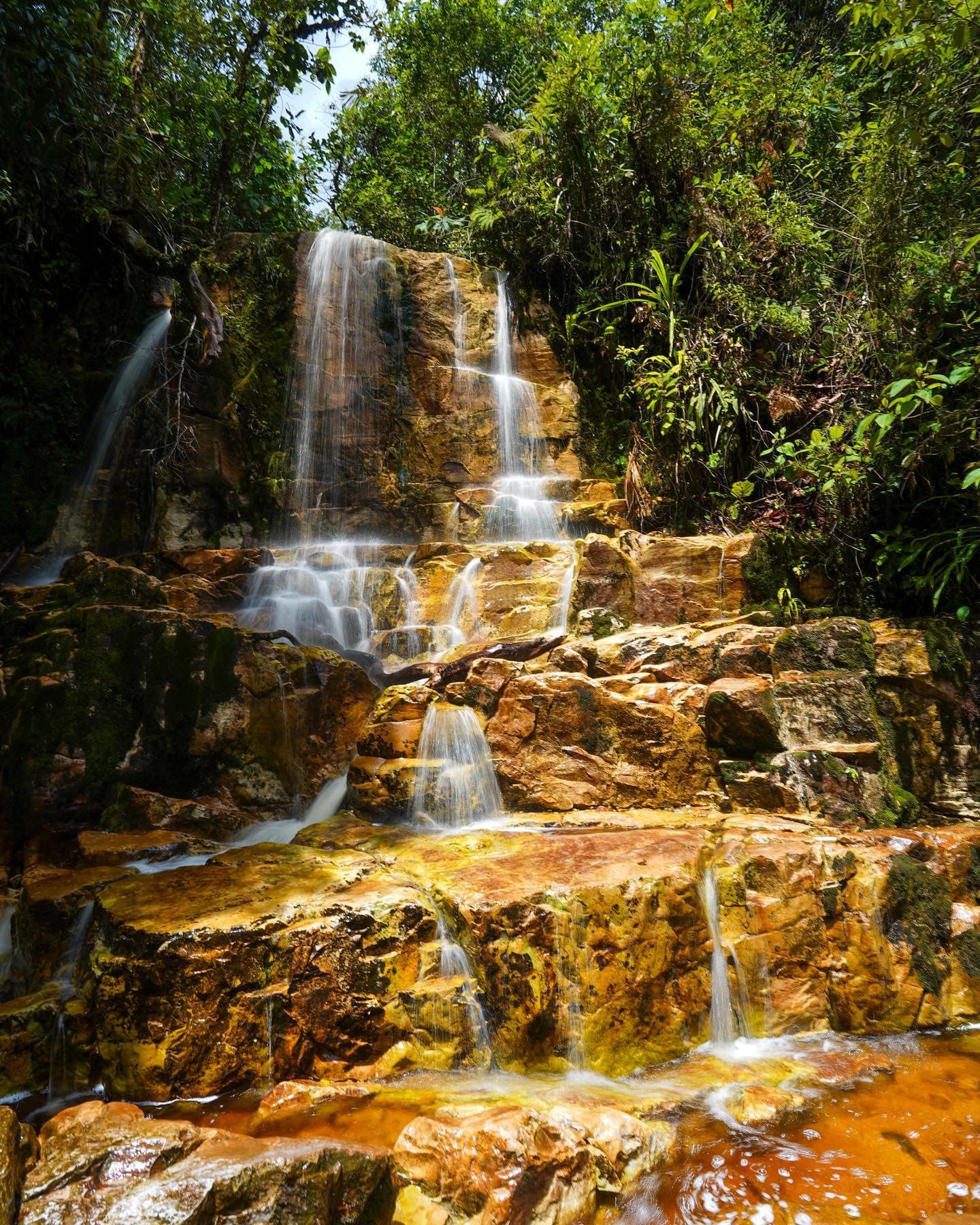 3in1: Los Haitises N. Park + Waterfalls + Montaña Redonda — Guided tour and outdoor activity