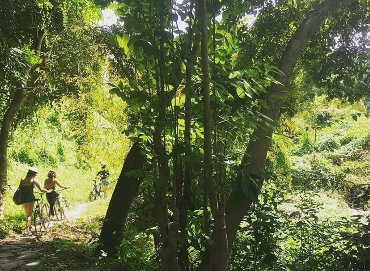 Havana Enchanted Forest Bike Tour — Guided tour and outdoor activity