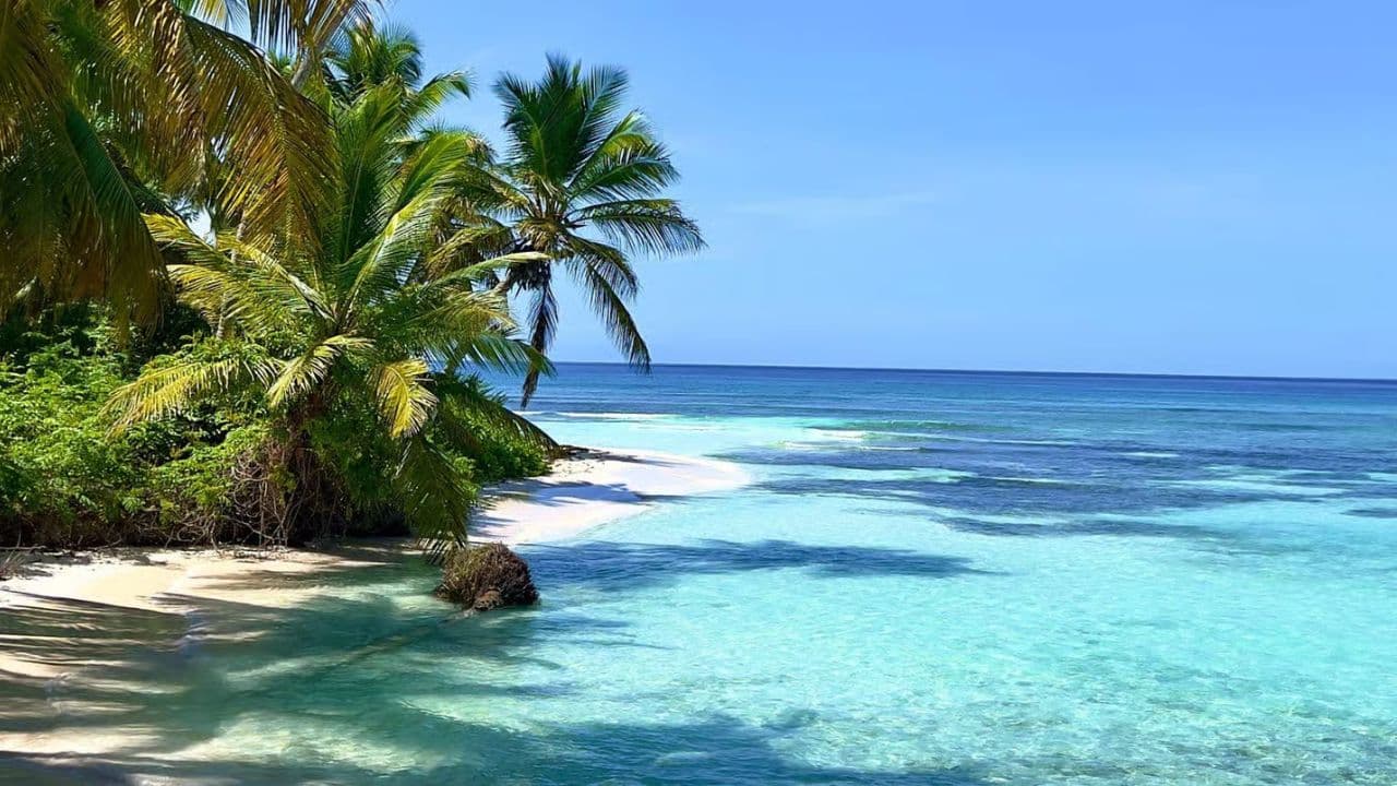 Reliable Airport Transfers to and From Punta Cana Airport — Guided tour and outdoor activity