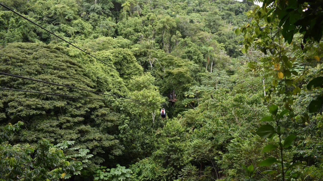 Puerto Plata: Waterfalls, Zip Line Adventure and Horse Ride — Guided tour and outdoor activity