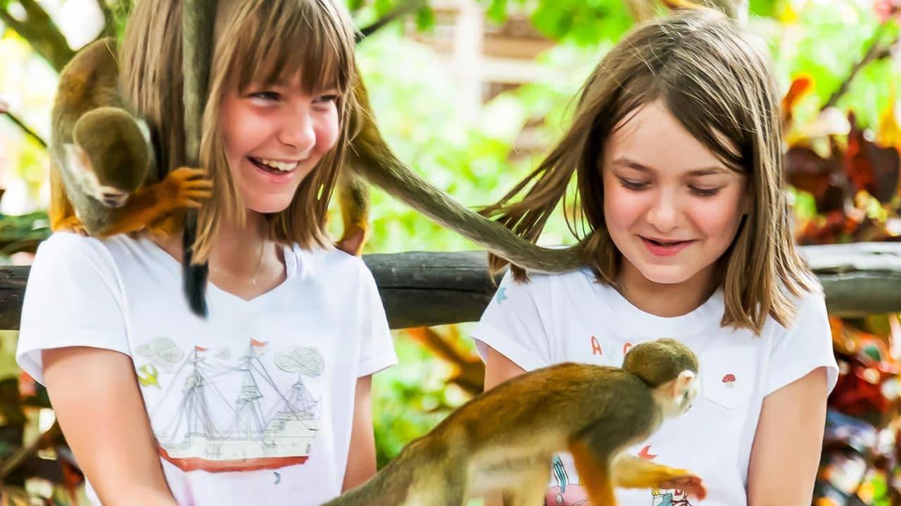 Monkeyland tour + Transportation from cruise/hotel — Guided tour and outdoor activity