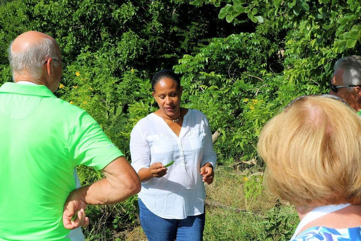 Nicole's Table - Cooking with Rum — Guided tour and outdoor activity