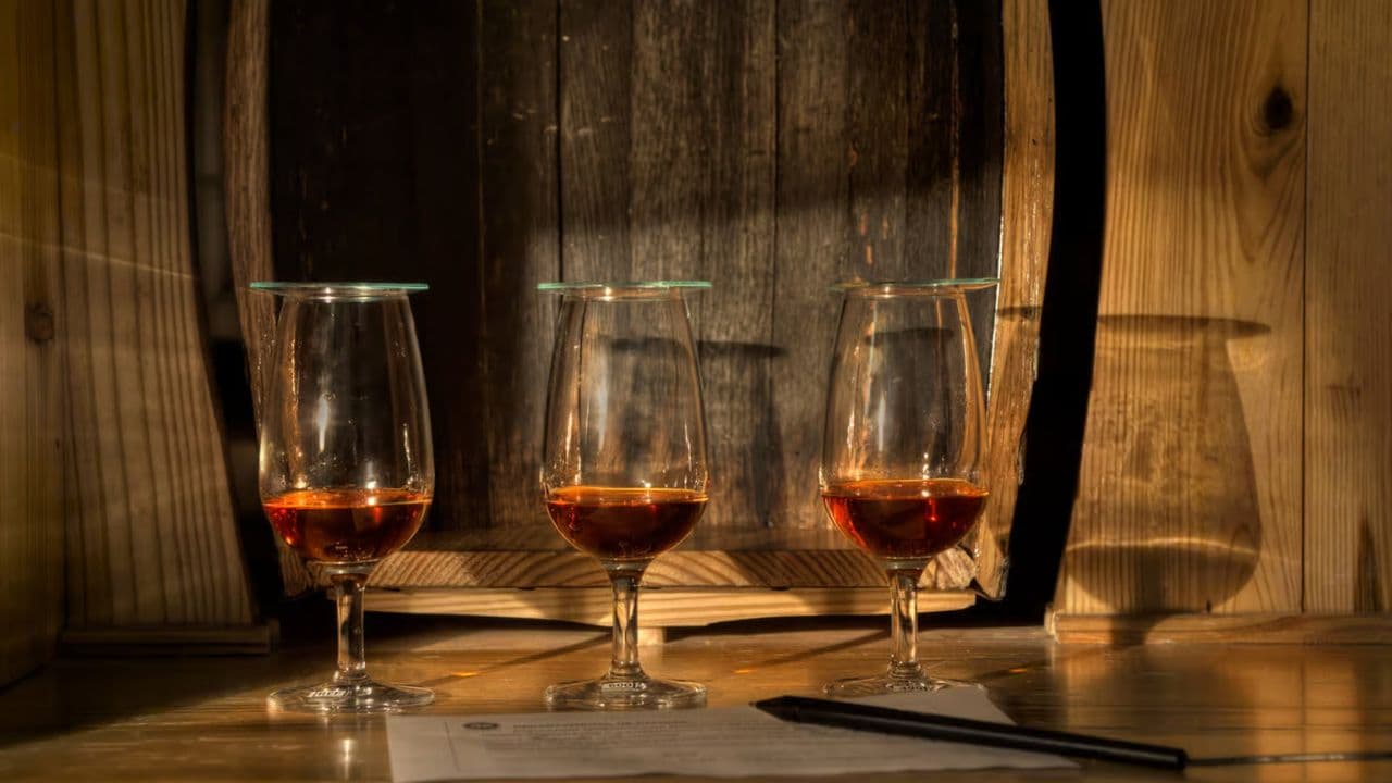 Ron Barcerló: Rum Factory Tour with Rum Tastings — Guided tour and outdoor activity