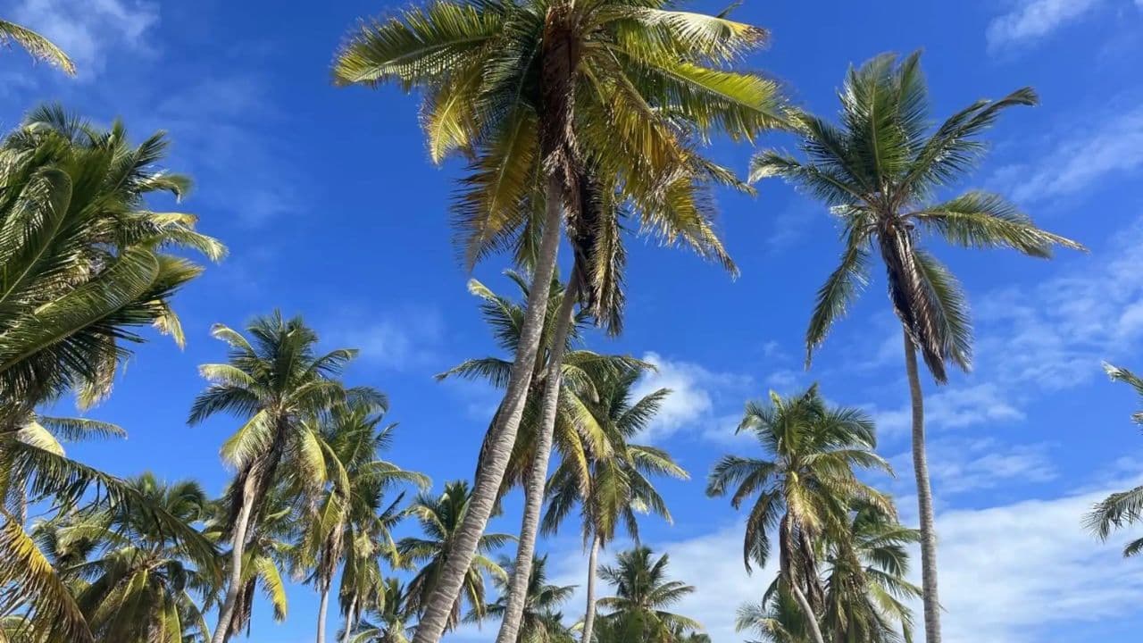 Punta Cana: Spa Cruise with Pilates, Massage, and Lunch — Guided tour and outdoor activity