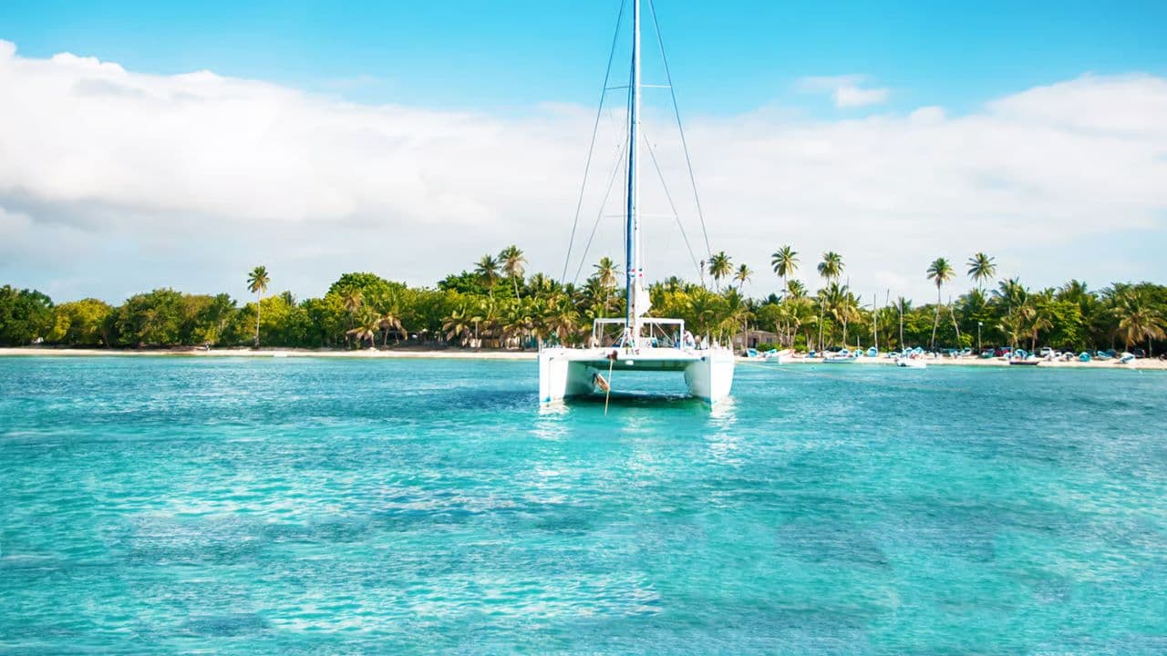Saona Island Private: Speedboat Tour from Punta Cana — Guided tour and outdoor activity