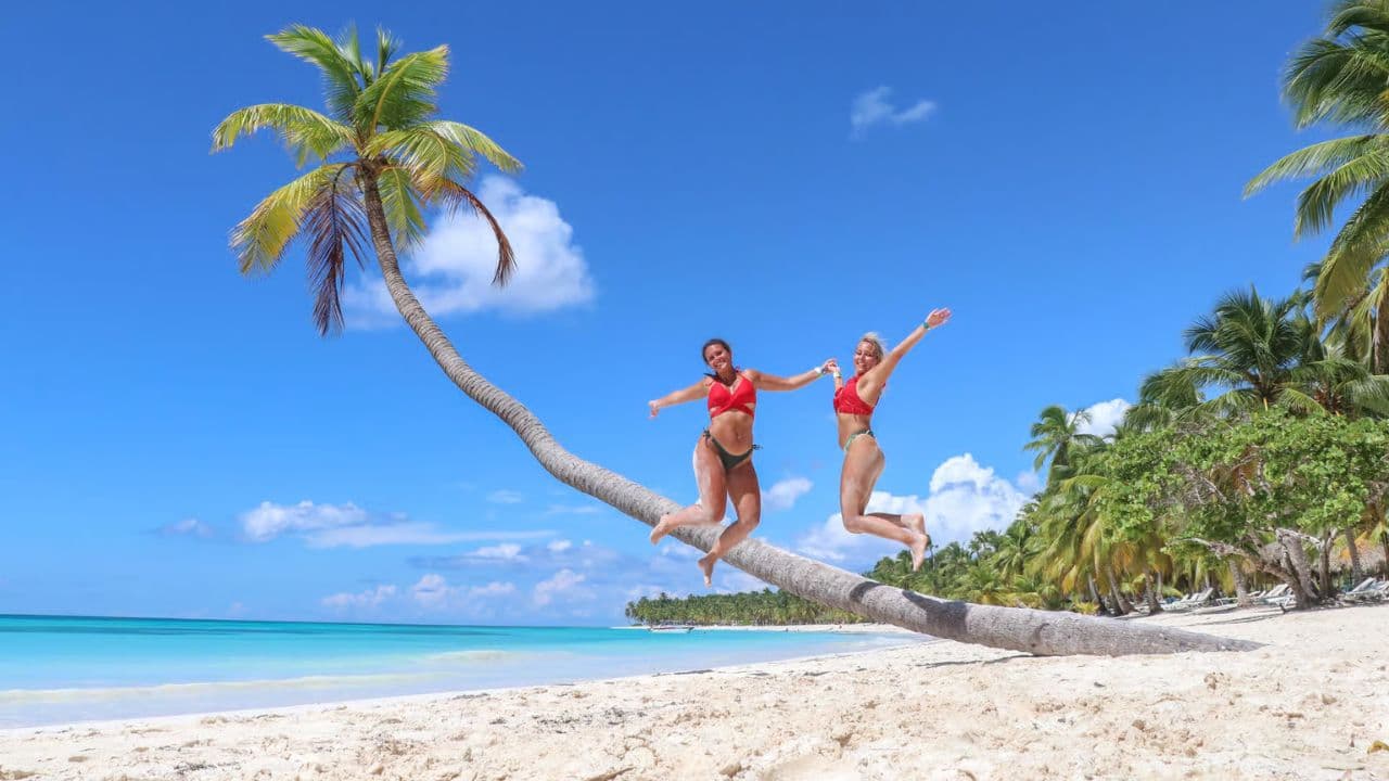 Punta Cana: Saona Island Full Day With Catamaran and Buffet — Guided tour and outdoor activity