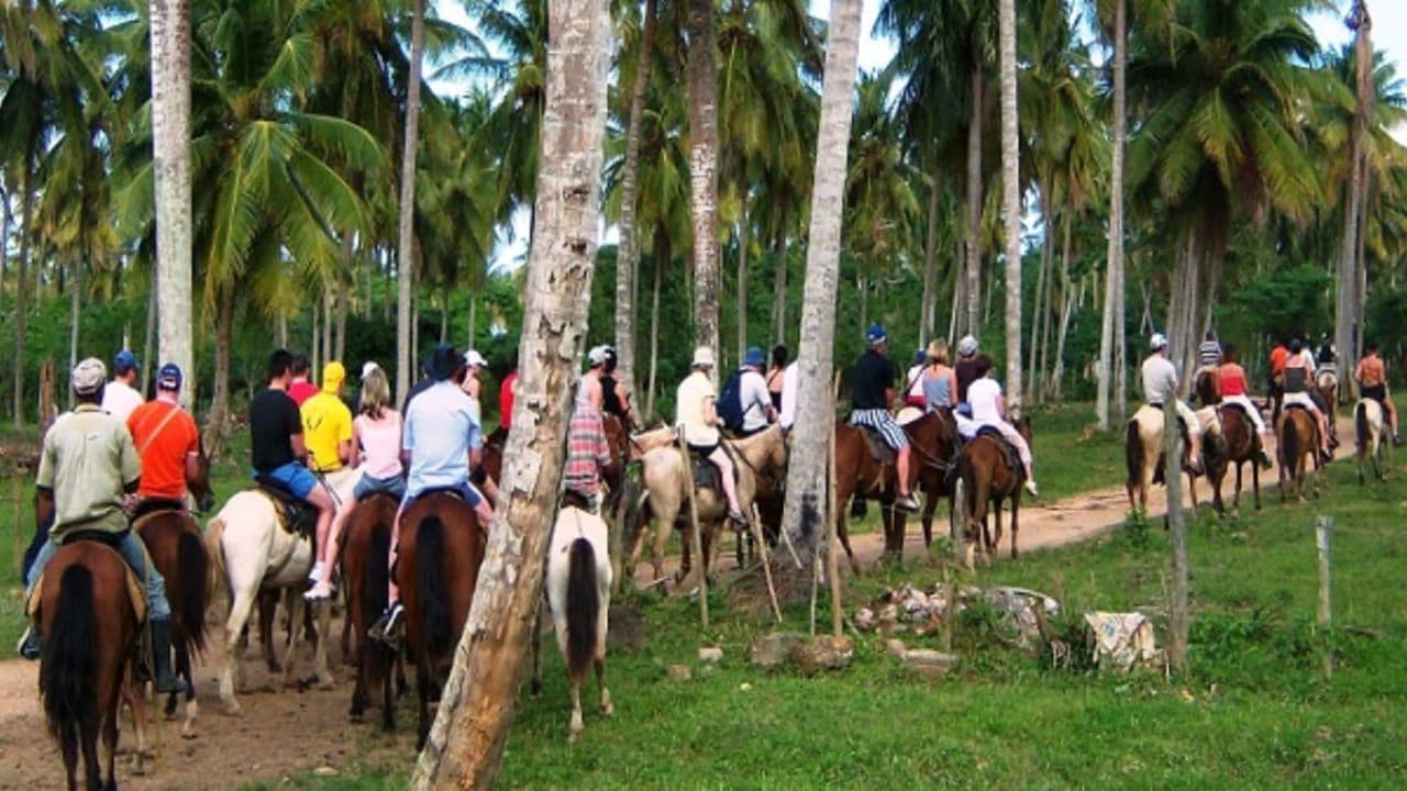 Samana: Full day Samana Amazing tour Punta Cana — Guided tour and outdoor activity